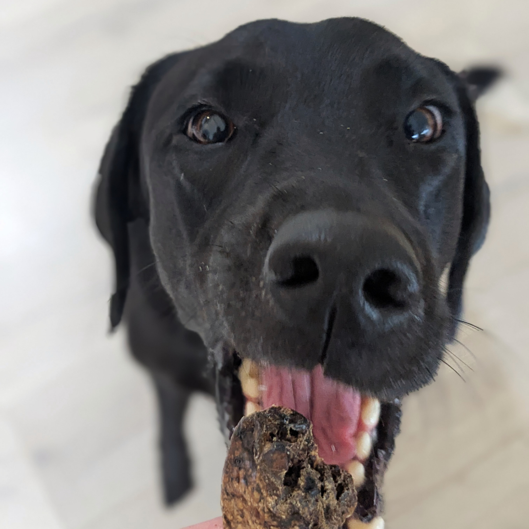 Lamb Lung Cube Pet Treats 250g