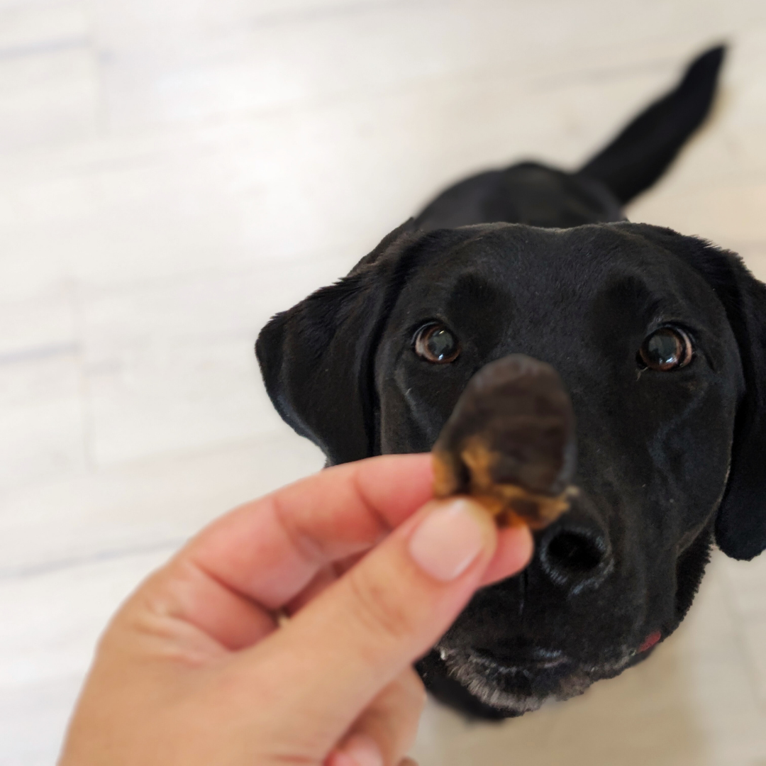 Chicken Heart Treats 250g